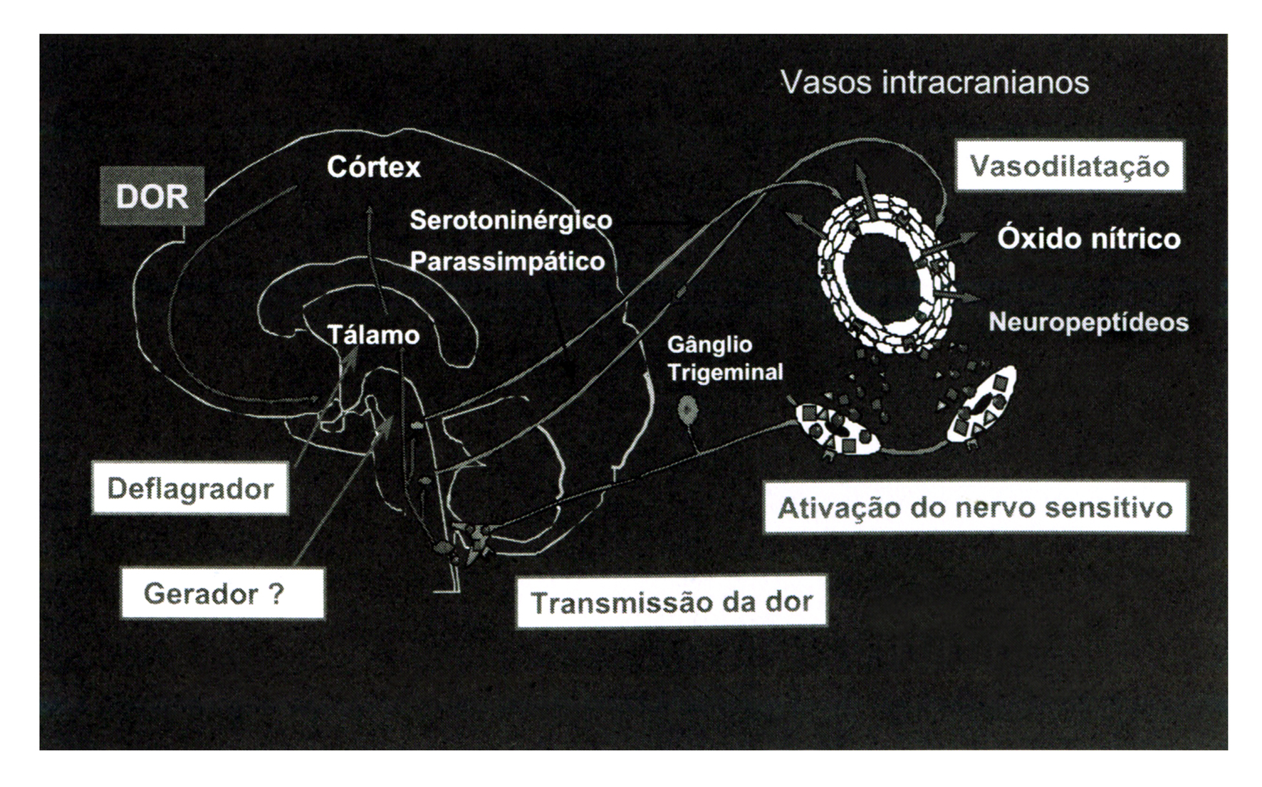 Fibromialgia e Magnésio